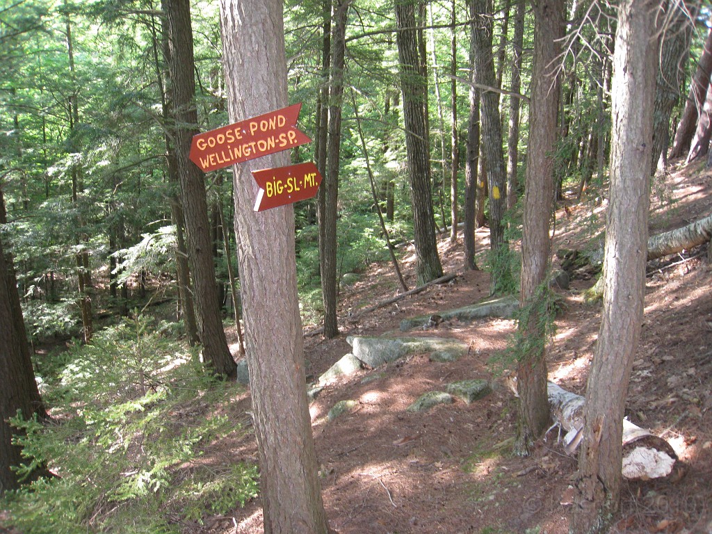 Elwell Trail NH 2010 150.jpg - The Elwell Trail North of Bristol NH, runs along Newfound Lake. The trail goes to Little and Big Sugarloaf mountains. Supposedly it also connects to Mt Cardigan. May 2010.